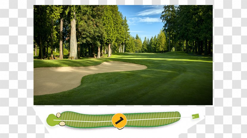 Golf Clubs Course Lawn - Tree - Womens Pga Championship Transparent PNG