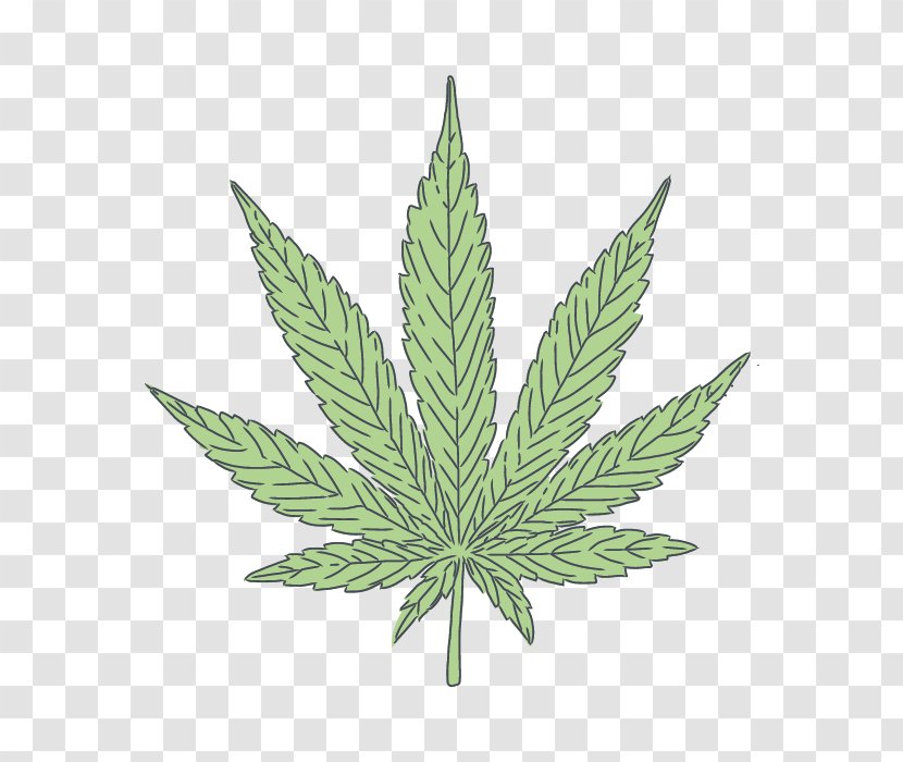 Cannabis Leaf Background - Smoking - Perennial Plant Great Masterwort Transparent PNG