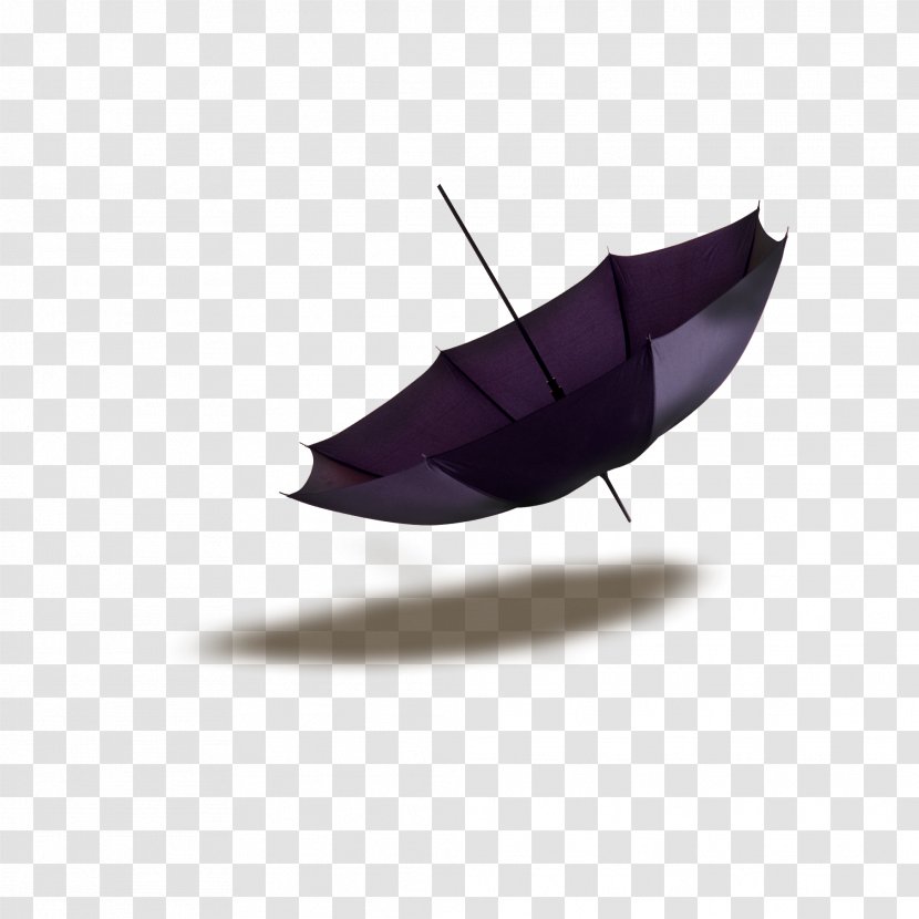 Photographic Film Purple Clip Art - Blog - Beach Umbrella Transparent PNG