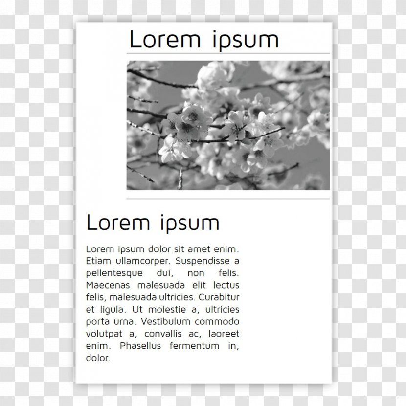 Font Flower - Text Transparent PNG
