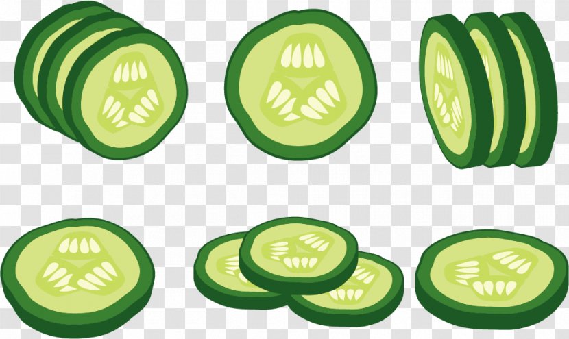 Cucumber Euclidean Vector Vegetable - Drawing - Slices Transparent PNG