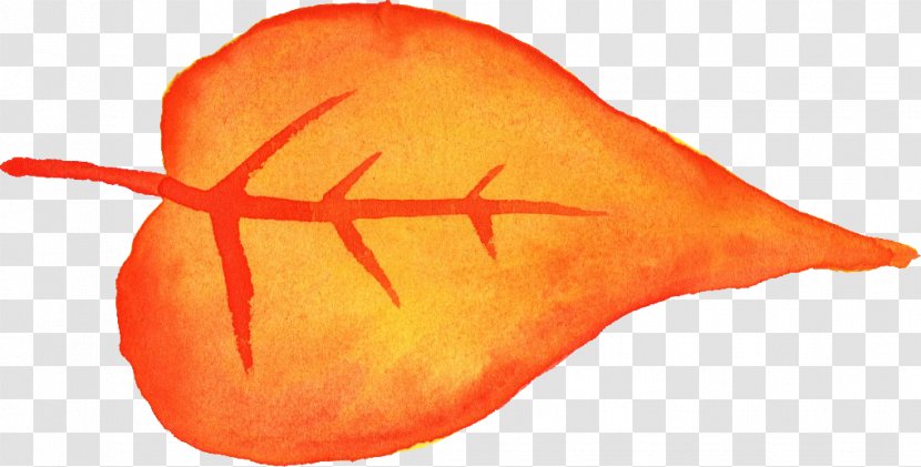Vegetable Fish Orange S.A. - Sa - Aplausos Watercolor Transparent PNG