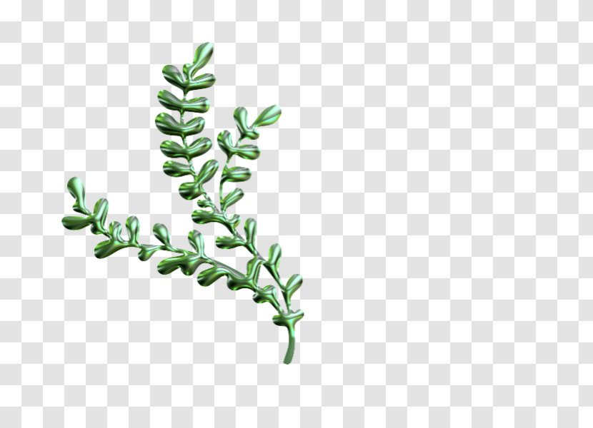 Twig Plant Stem Leaf Font - Grass Transparent PNG