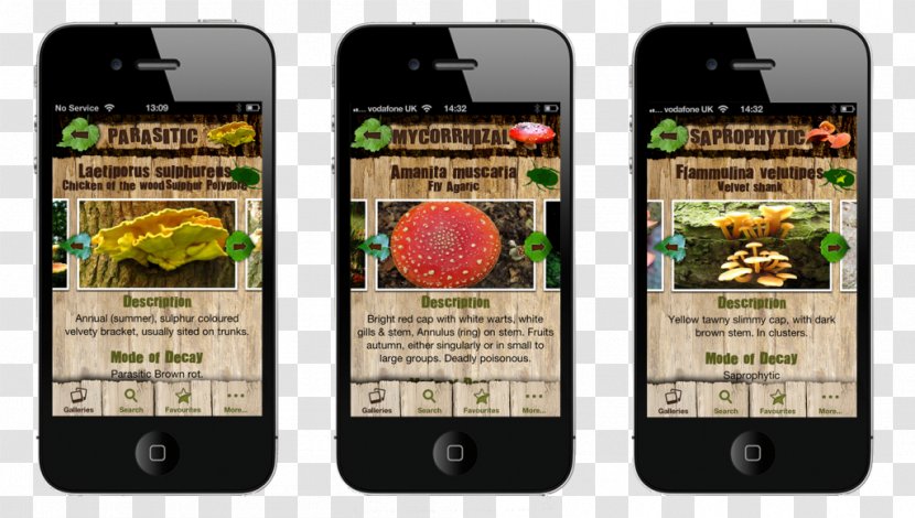Smartphone Android Handheld Devices Arborist - Mobile Phones - Fungi Transparent PNG