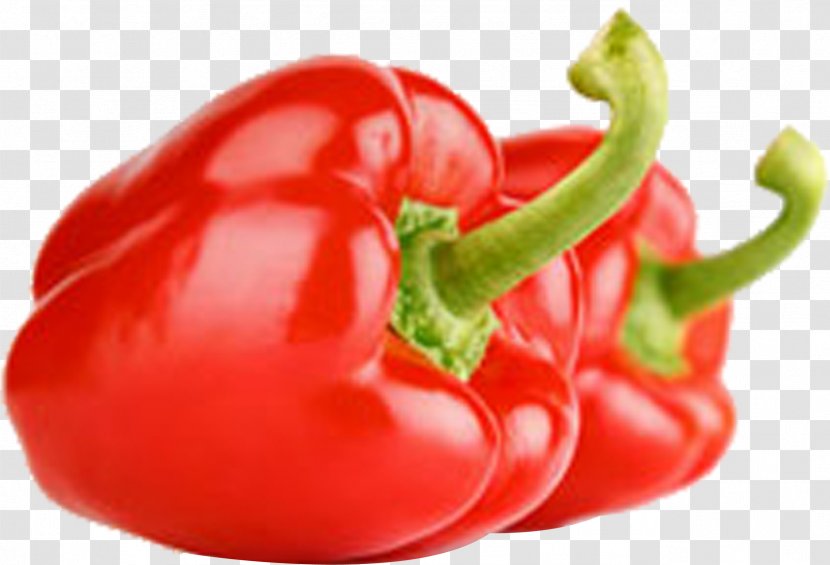 Chili Con Carne Vegetable Fruit Tomato - Pepper Transparent PNG