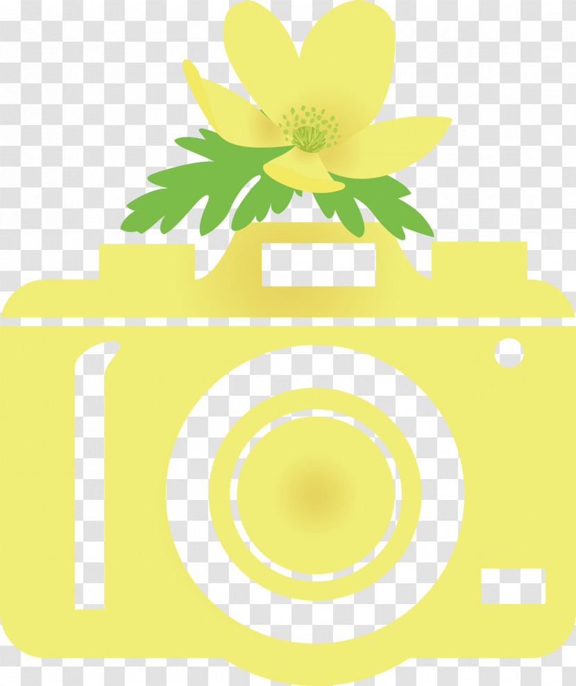 Camera Flower Transparent PNG