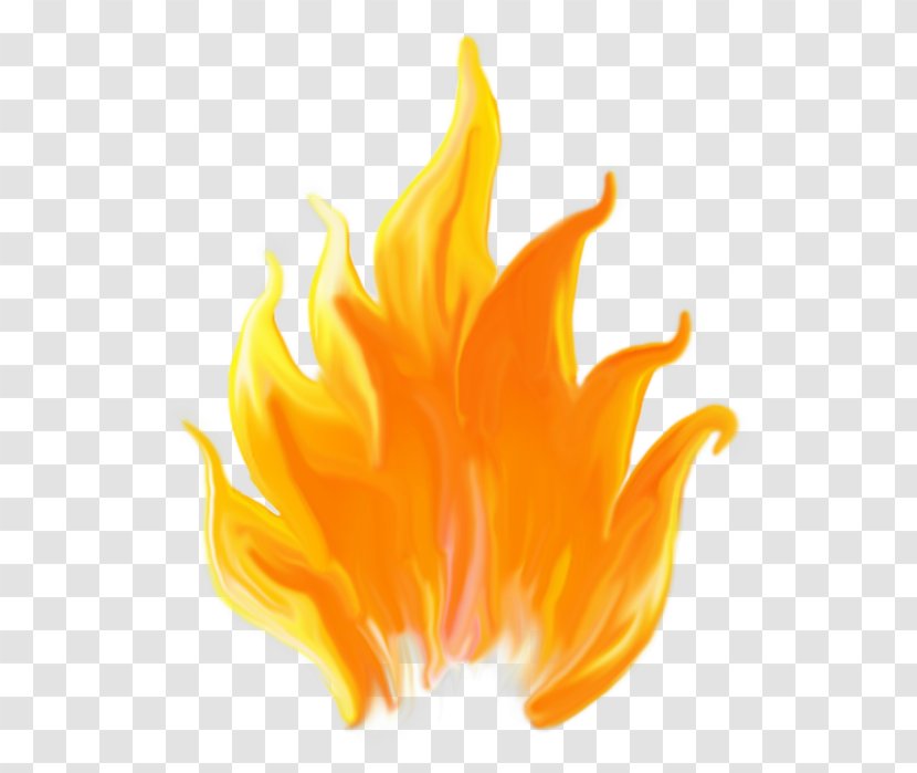 Fire Flame - Yellow - Orange Transparent PNG