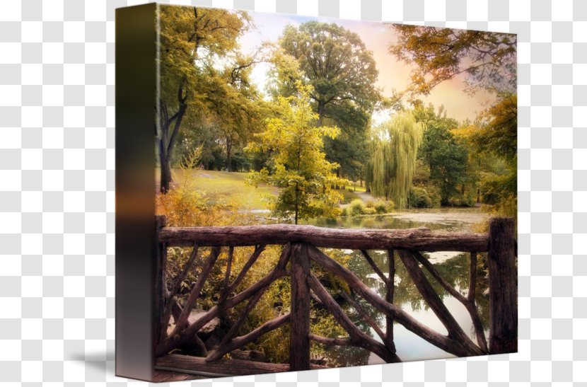 Painting Landscape Tree Forest Picture Frames - Frame Transparent PNG