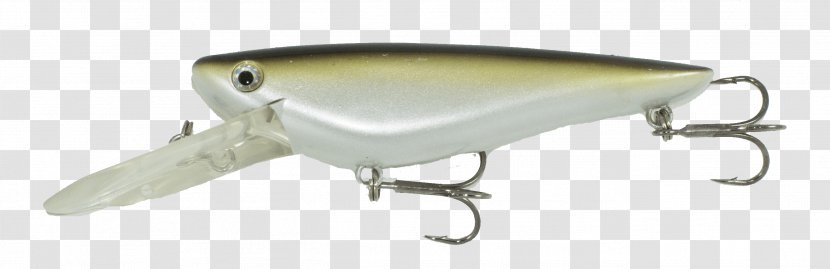 Fishing Baits & Lures Trophy Technology Castaic Hunting Transparent PNG