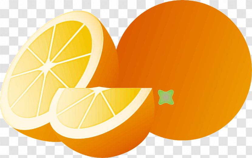 Orange - Lemon - Valencia Plant Transparent PNG