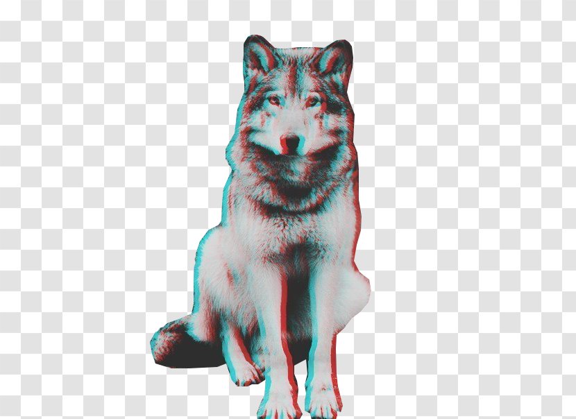 Dog Sticker Gray Wolf - Fur Transparent PNG