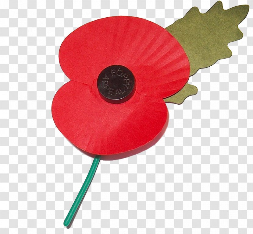 In Flanders Fields First World War Remembrance Poppy Armistice Day - Commonwealth Of Nations Transparent PNG