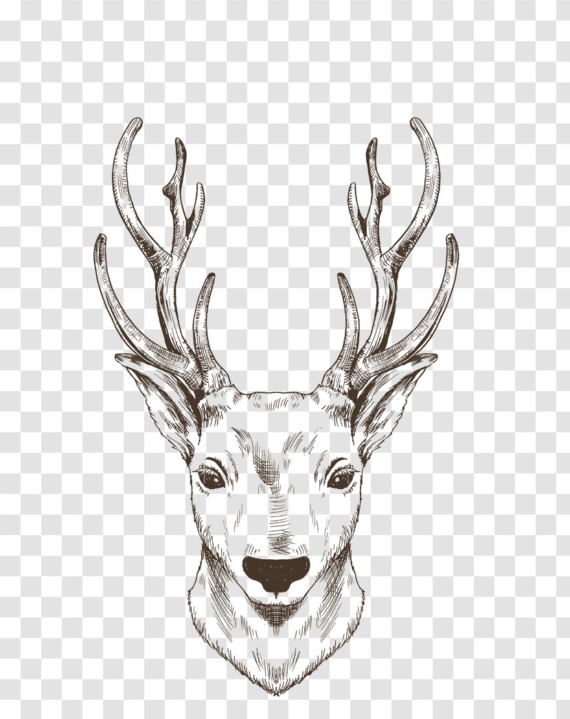 Reindeer Elk Moose Drawing - Christmas Painted Brown Line Transparent PNG