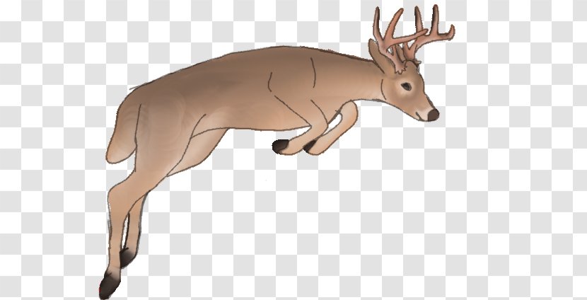Reindeer White-tailed Deer Elk Cattle - Like Mammal - Its Snowing Transparent PNG