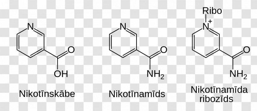 Nicotinamide Adenine Dinucleotide Riboside - Nền Transparent PNG