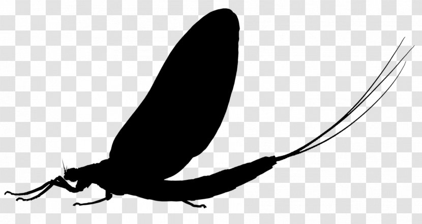 Insect Clip Art Pollinator Silhouette Pest - Bird Transparent PNG