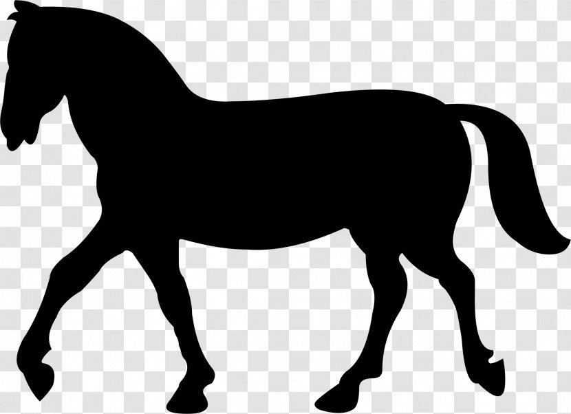 Horse Unicorn Silhouette Legendary Creature Clip Art - Foal - Animal Silhouettes Transparent PNG