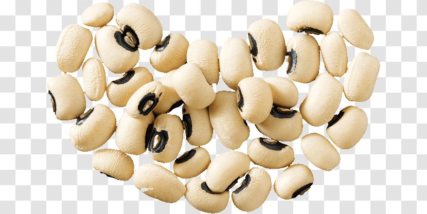 Vegetarian Cuisine Wild Bean Legumes Navy - Food - Beans Vejitble Transparent PNG