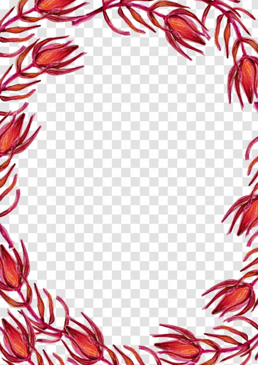 Red Flower Clip Art - Textile - Floral Border Transparent PNG
