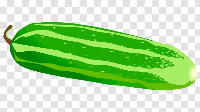 Pickled Cucumber Vegetable Clip Art - Melon Transparent PNG