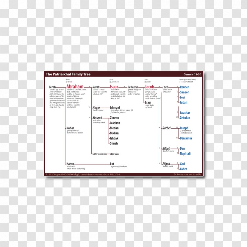 Product Design Diagram Line Angle - Area - Abraham's Family Tree Transparent PNG