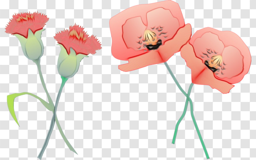 Flower Cut Flowers Pink Petal Plant Transparent PNG