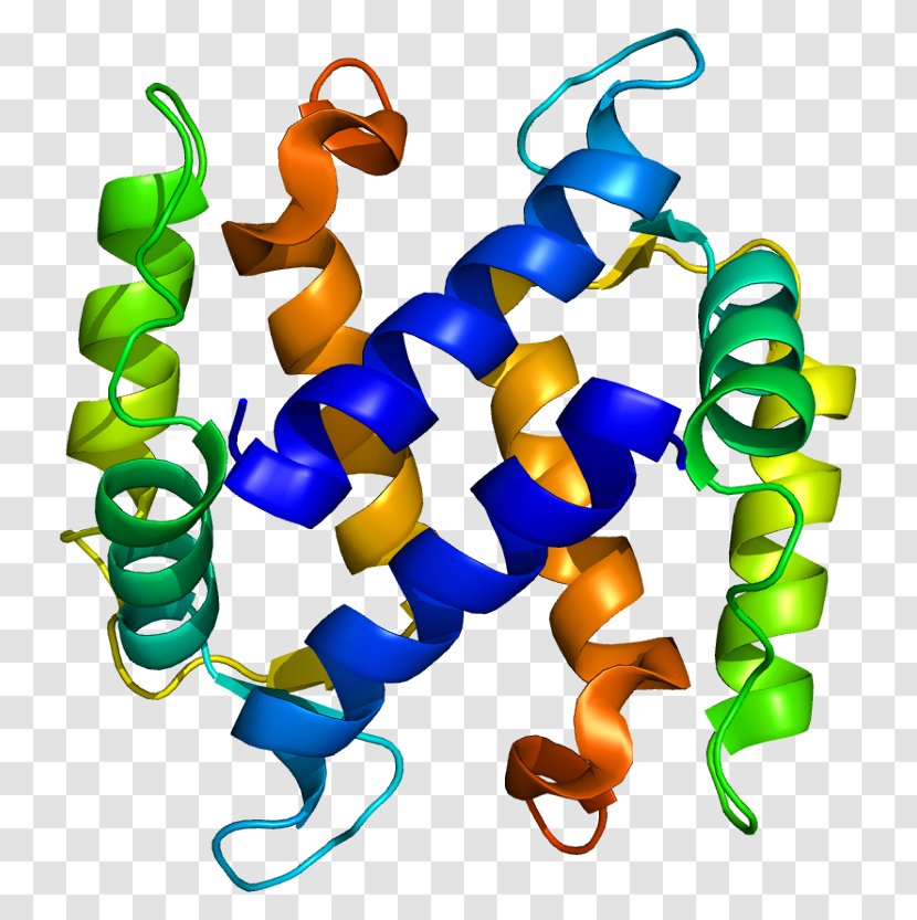 S100A3 Wikipedia Protein Gene Clip Art - Cartoon - Silhouette Transparent PNG