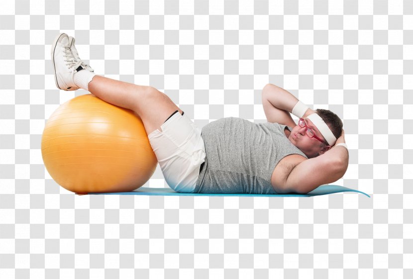 Crunch Abdominal Obesity Adipose Tissue Physical Exercise - Flower - Cartoon Transparent PNG