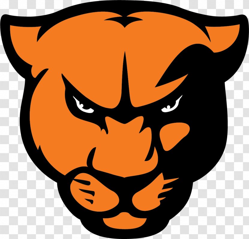 Greenville University College Panthers Football St. Louis Intercollegiate Athletic Conference Millsaps American - Student Transparent PNG