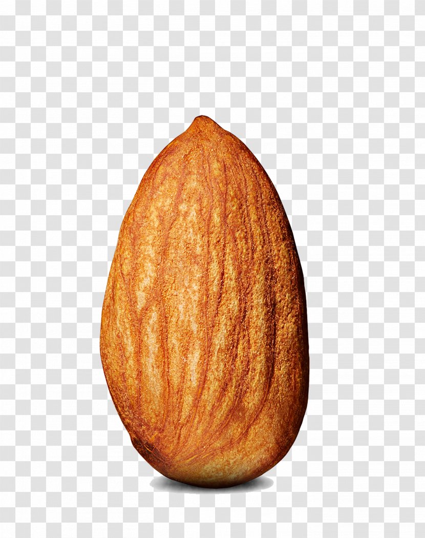 Almond Clip Art - Winter Squash - Sweet Transparent PNG