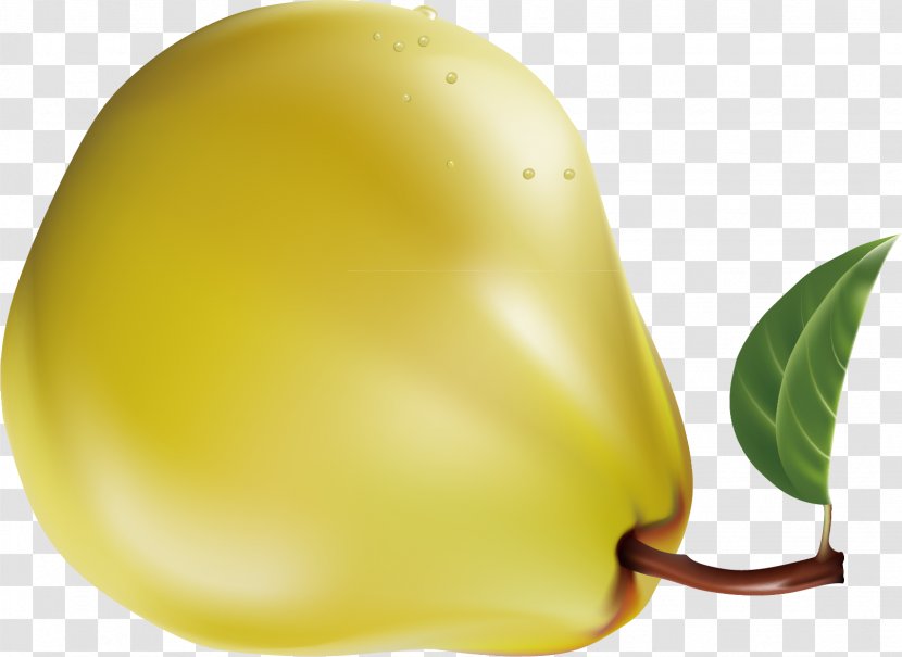 Fruit Pyrus Xd7 Bretschneideri Laiyang Auglis Clip Art - Citrus - Pear Material Transparent PNG