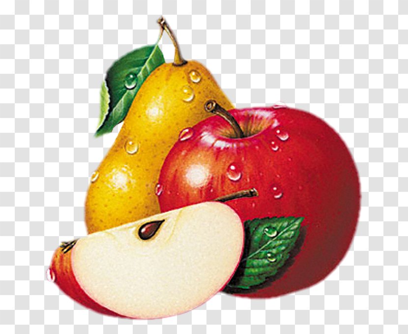 Vegetable Fruit Apple Clip Art - Pear Transparent PNG