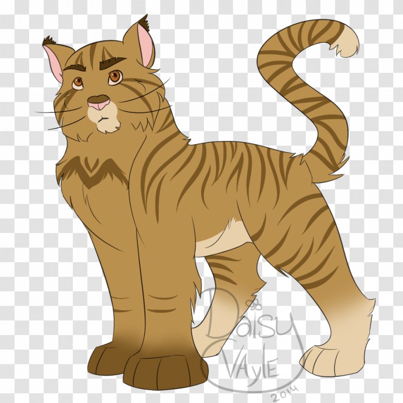 Whiskers Tiger Lion Wildcat Transparent PNG
