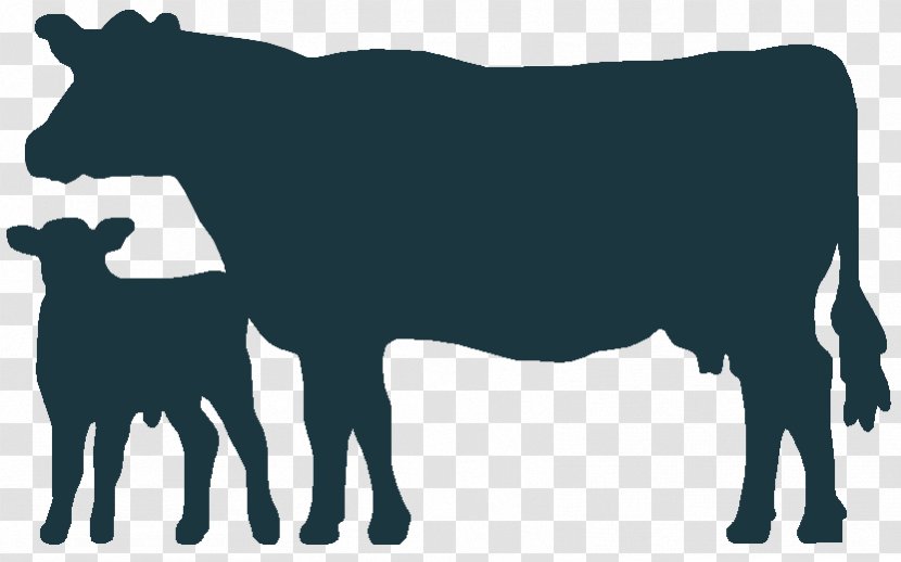 Angus Cattle Welsh Black Holstein Friesian Calf Clip Art - Dairy - Map Transparent PNG