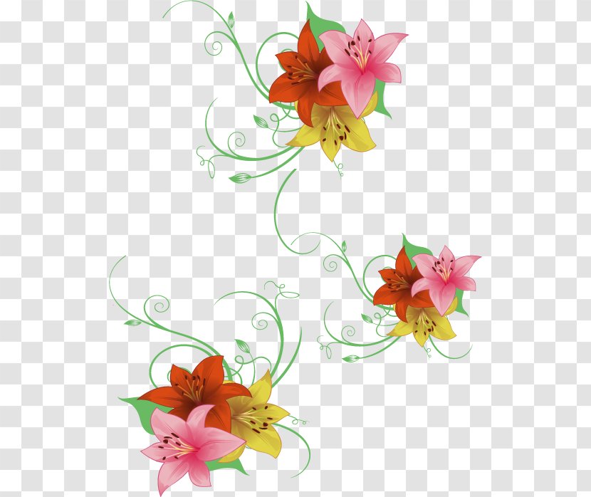 Floral Design Flower Petal - Search Engine - Colorful Hand-painted Flowers Transparent PNG