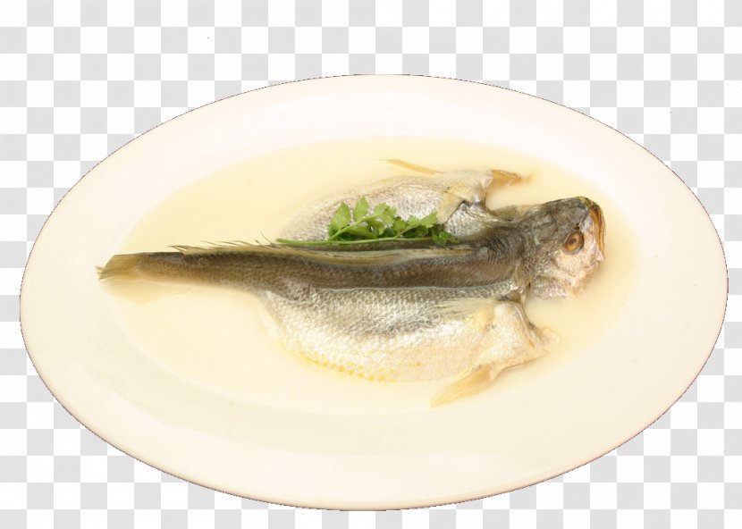 Larimichthys Crocea Fish Soup Polyactis - Kipper Transparent PNG