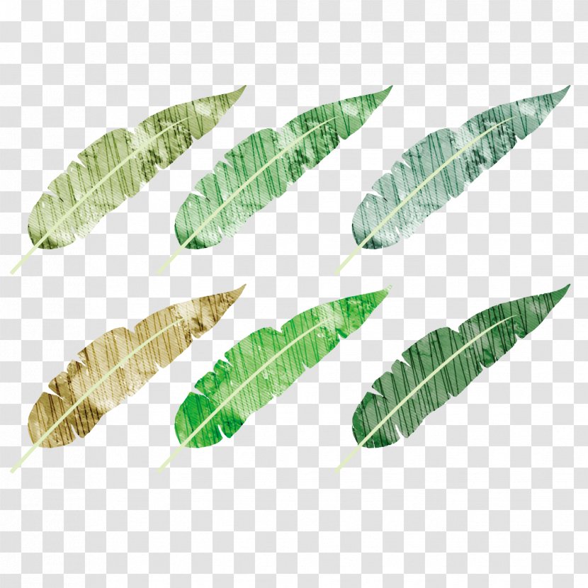Banana Bread Cake Leaf Watercolor Painting - Vector Drawing Green Feathers Transparent PNG