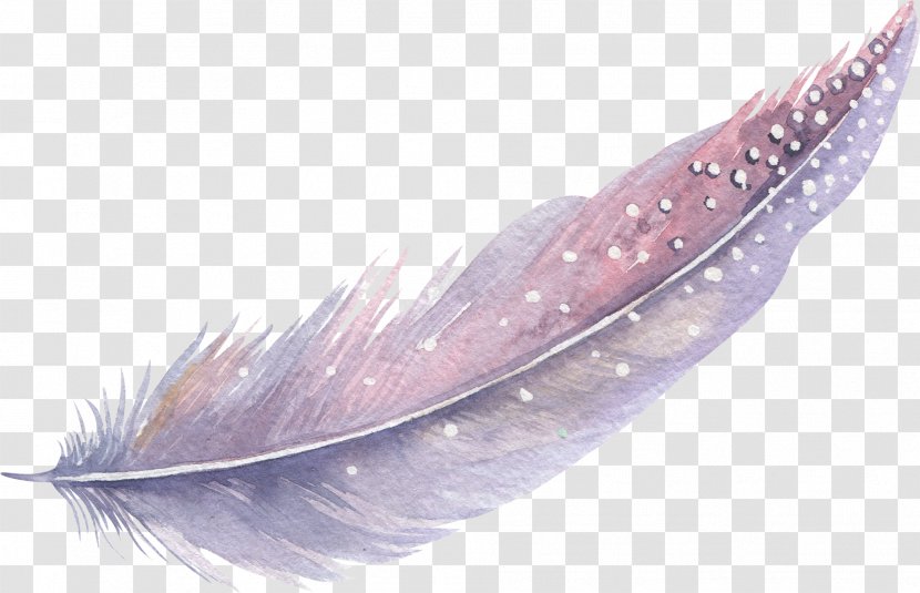 Feather Watercolor Painting - Creative Work Transparent PNG