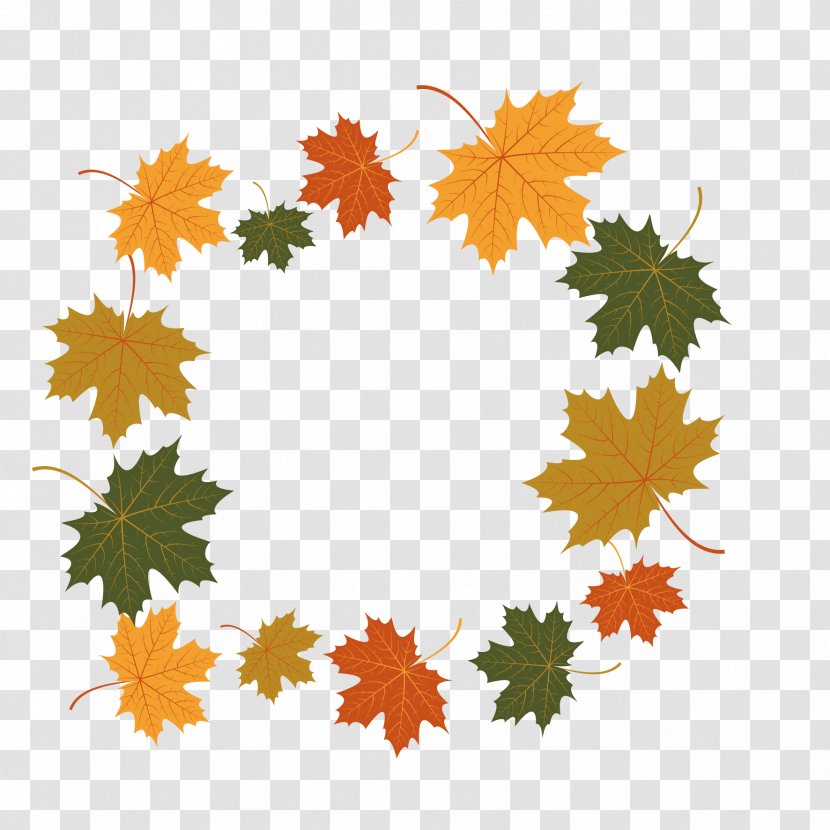 Maple Leaf Euclidean Vector Illustration - Autumn - Decoration Transparent PNG