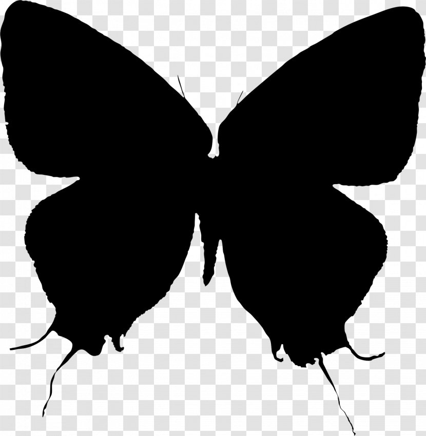 Brush-footed Butterflies Moth Clip Art Silhouette M. Butterfly - Insect - Black M Transparent PNG
