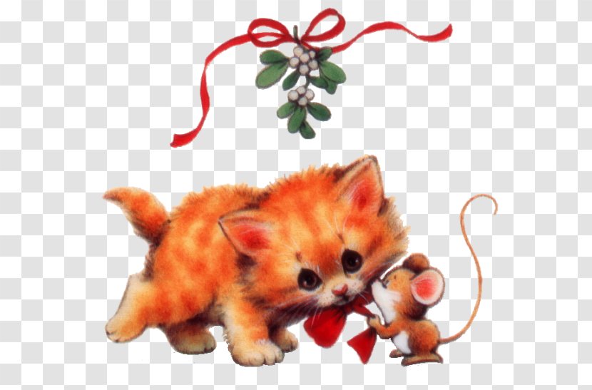 Cat Kitten Animal Red Fox - House Mouse Transparent PNG