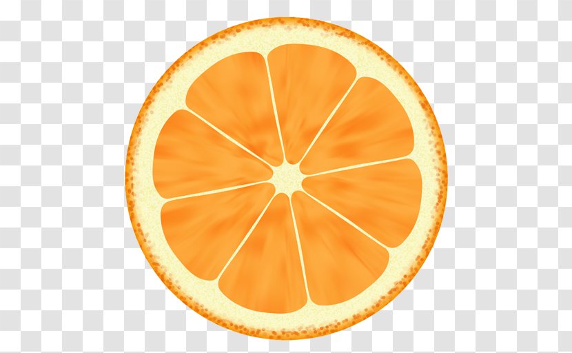 Orange Drawing Clip Art - Food Transparent PNG