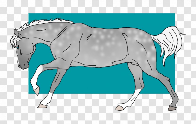 Stallion Foal Mustang Mare Colt - Horse Harnesses - Silver Bullet Transparent PNG
