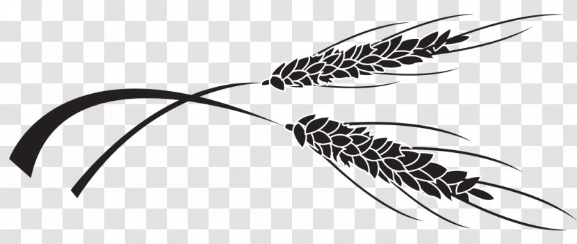 Quill Corp Grasses White - Wing - Line Transparent PNG