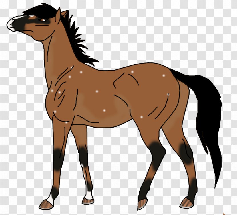 Mustang Pony Foal Mare Stallion - Halter Transparent PNG