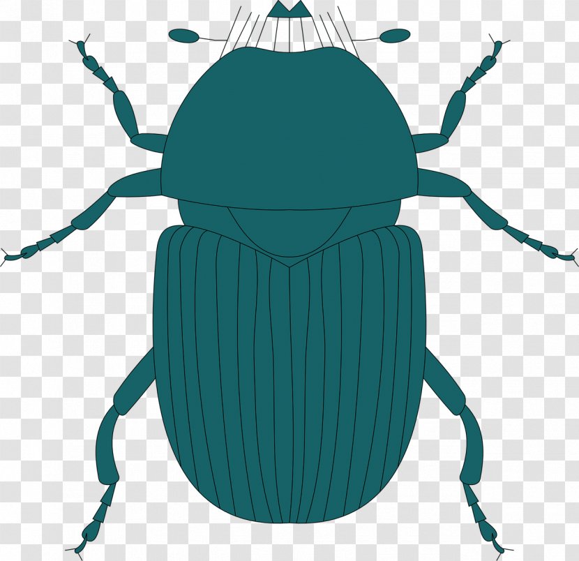 Stag Beetle Clip Art Insect Wing - Cartoon Transparent PNG