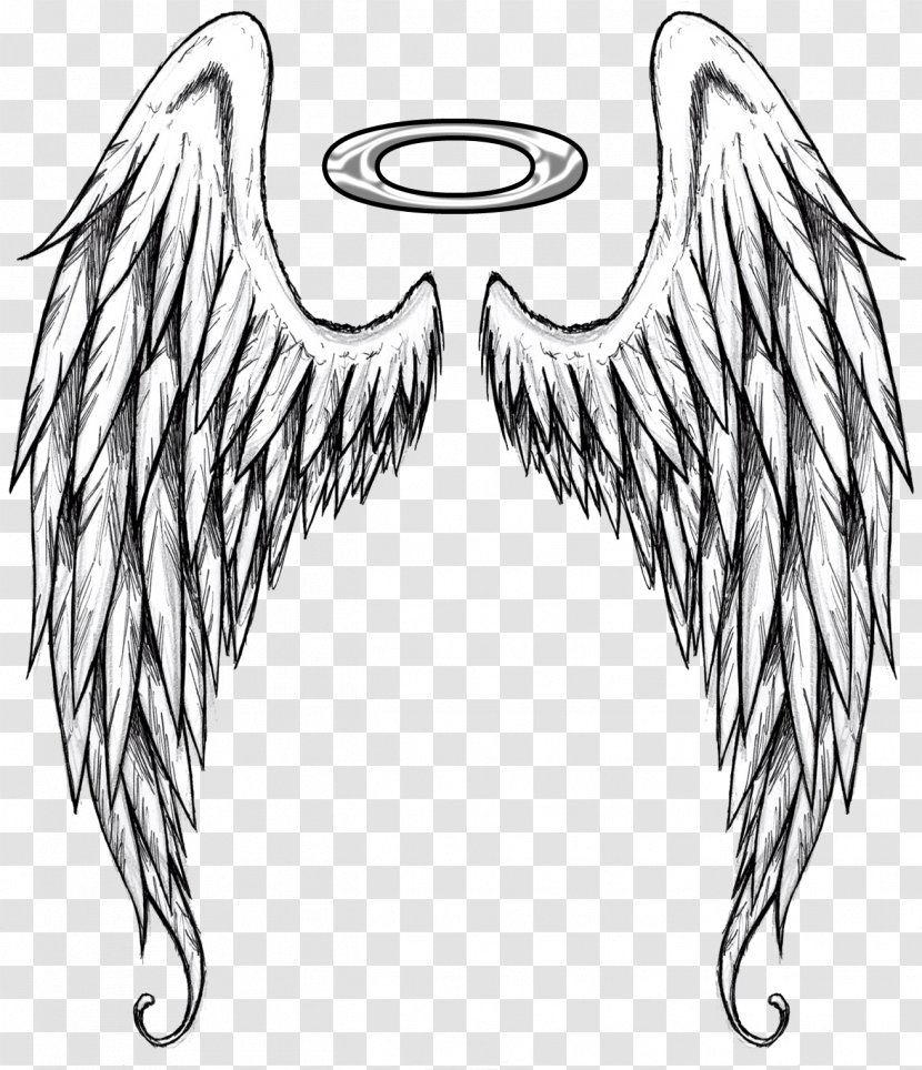 Feather - Fictional Character - Supernatural Creature Transparent PNG