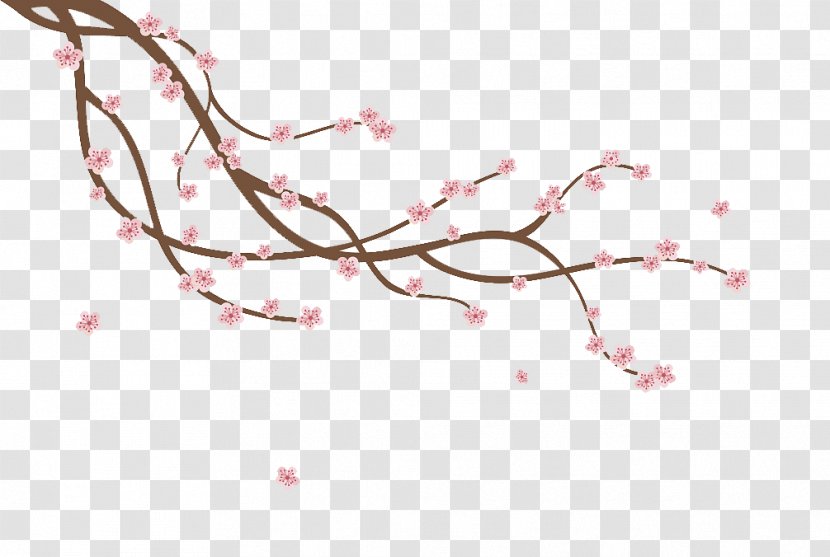 Cherry Blossom Branch Illustration - Flower - Bud Transparent PNG