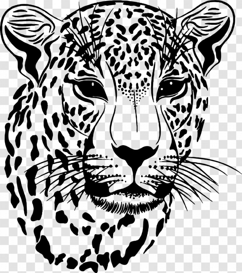 Clouded Leopard Jaguar - TIGER VECTOR Transparent PNG