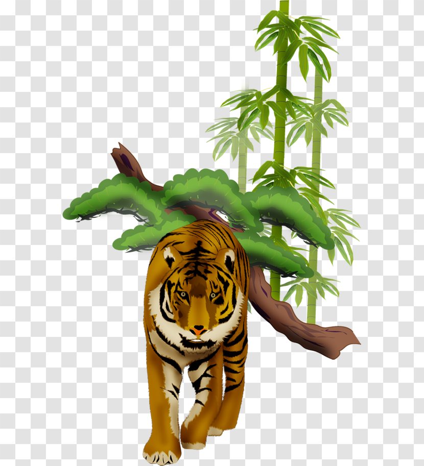 Tiger Wildlife Animal - Organism Transparent PNG